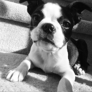 Meet your Posher, Sydney